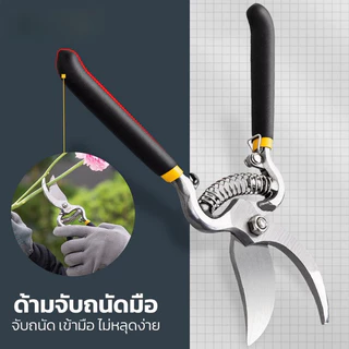 กรรไกรตัดกิ่งไม้ กรรไกรตัดกิ่ง กรรไกรทำสวน กันไกรตัดกิ่งไม้ 8 นิ้ว ดอกไม้ เครื่องมือจัดทำสวน Pruning Shears