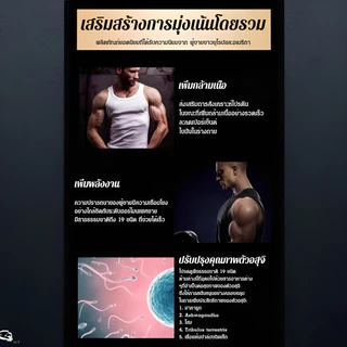 ชาบํารุง ทันสมัย ชาโสมเหลืองสาระสําคัญเก้าสมบัติ ชาผู้ชาย งานฝีมือแบบดั้งเดิม ถุงชาแยก/ชาโสมโพลีโกนาทัมเก้าสมบัติ/ชาบำรุงสุขภาพผู้ชาย ชาโสมเก้าสมบัติ/ชาบำรุงสุขภาพผู้ชาย บำรุงไตและตับ