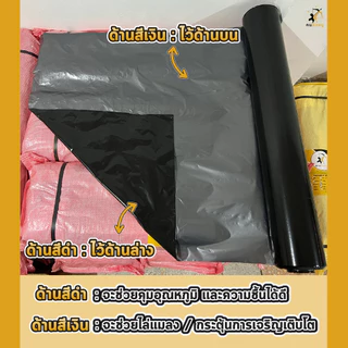 พลาสติกคลุมดิน 0.8ม.x400หลา(360ม) เจาะรูเดี่ยว 1แถว ผ้ายางคลุมดิน ผ้ายางคลุมวัชพืช ผ้ายางคลุมแปลงผัก