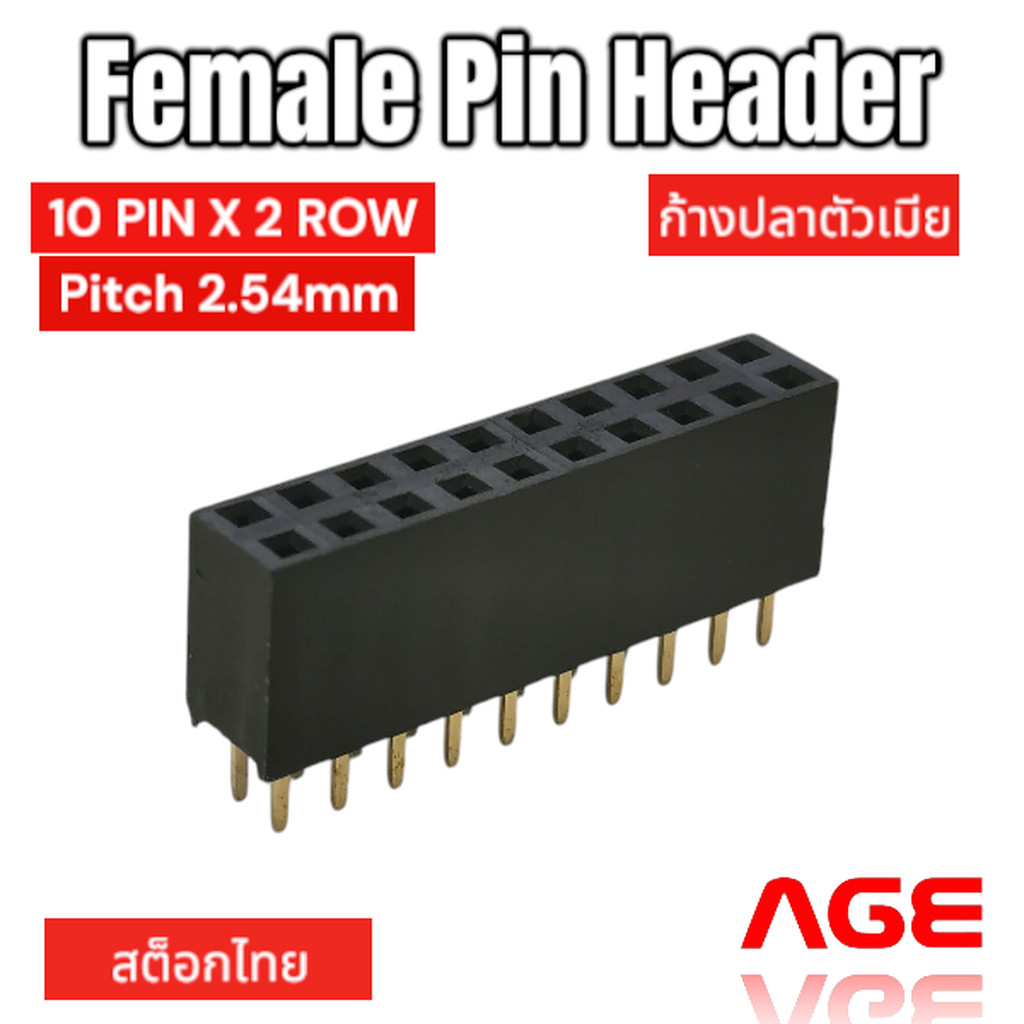 Female Pin Header 20 PIN, (10PINX2ROW), Pitch 2.54mm ก้างปลาตัวเมีย