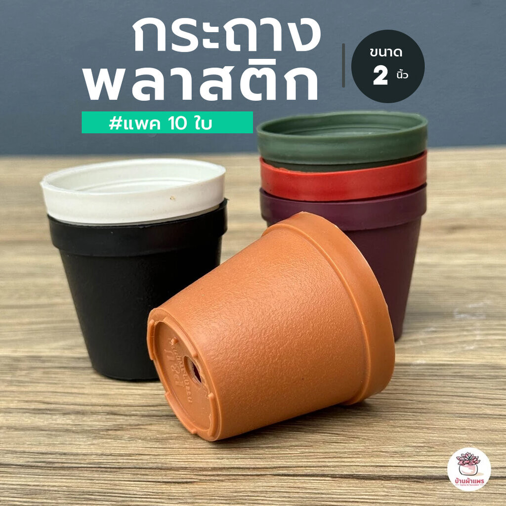 [ 10 ใบ ] กระถาง 2 นิ้ว [ P&U#012 ] กระถางพลาสติก แคคตัส กระบองเพชร ไม้อวบน้ำ Cactus&Succulent