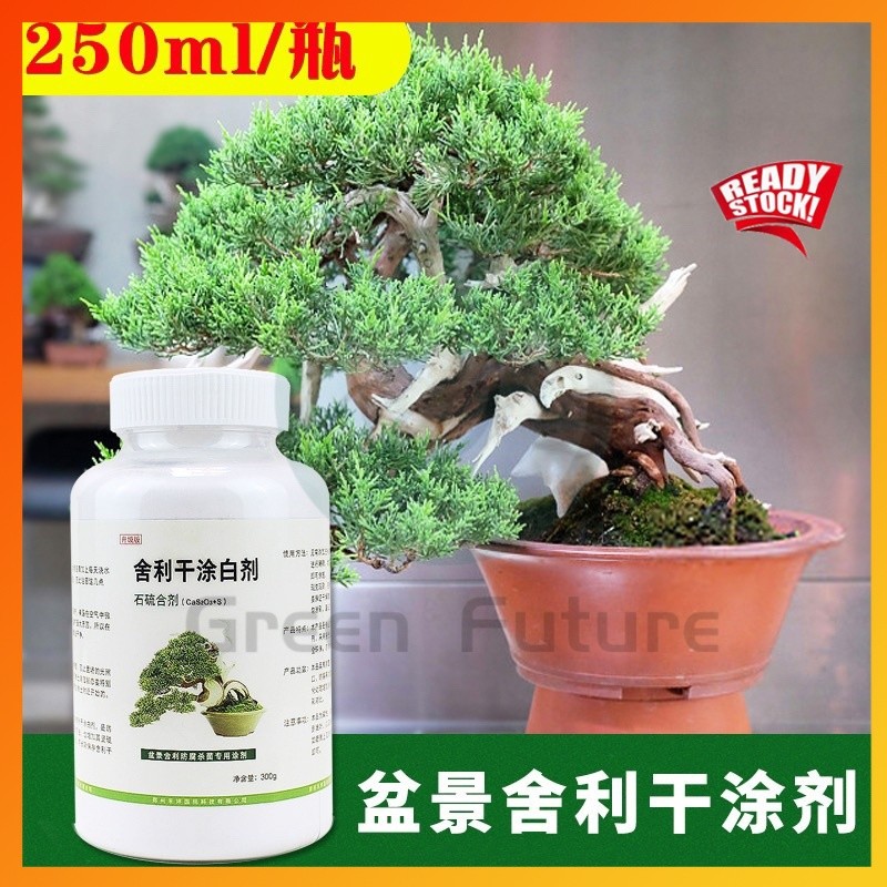 250ML โฮลเดอร์ ซิลค์เฟล剂 石 合剂 BONSAI LIME SULFUR สําหรับ DRIED BRANCHES WHITENING