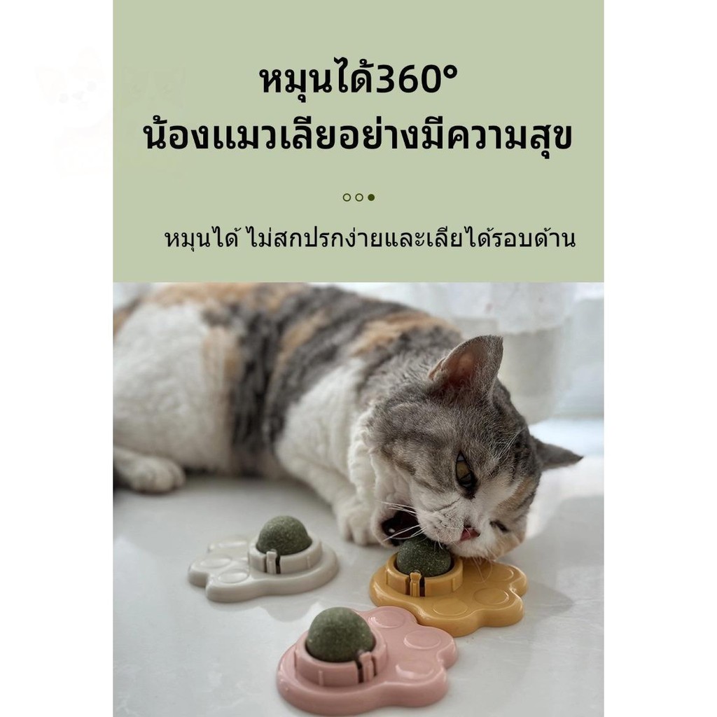 ลูกบอลมื้นท์ทรงกลมติดกำแพงสำหรับน้องแมว รักษาสูขภาพช่องปาก catmip ball wall sucker cat toys PetyPet P34 - รูปที่ 3