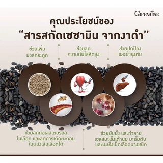 งาดำแคปซูล งาดำสกัด กิฟฟารีน SESAMI-S GIFFARINE | สารสกัดงาดำ เซซามิ เซซามินกิฟฟารีน