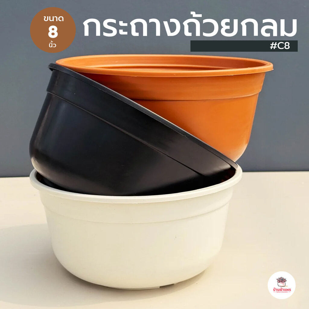 กระถางถ้วยกลม 8 นิ้ว #C8 กระถางพลาสติก แคคตัส กระบองเพชร ไม้อวบน้ำ Cactus&Succulent