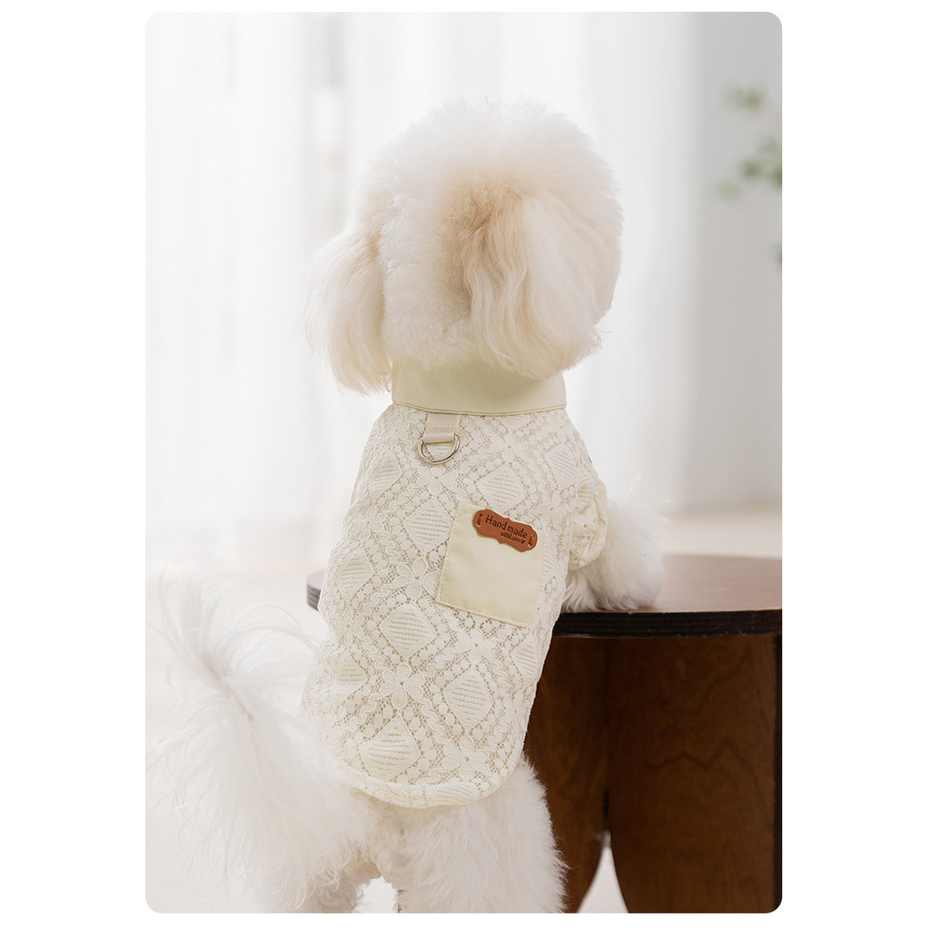 25 สไตล์ใหม่ฤดูใบไม้ผลิฤดูร้อนเสื้อสัตว์เลี้ยงระบายอากาศเท็ดดี้เสื้อผ้าสองขาสุนัขขนาดเล็กบิชอนแมวเสื้อผ้าสุนัขฤดูร้อ - รูปที่ 5