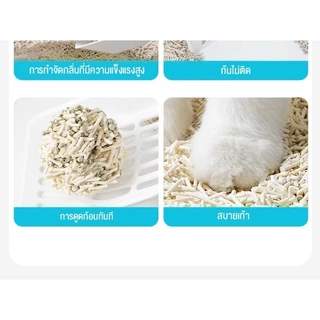 ทรายแมว 6ลิตร ผสมเบนโทไนท์+คริสตัล ไร้ฝุ่น ไม่ติดเท้า แถมฟรี! สะอาดยั่งยืน 🚀