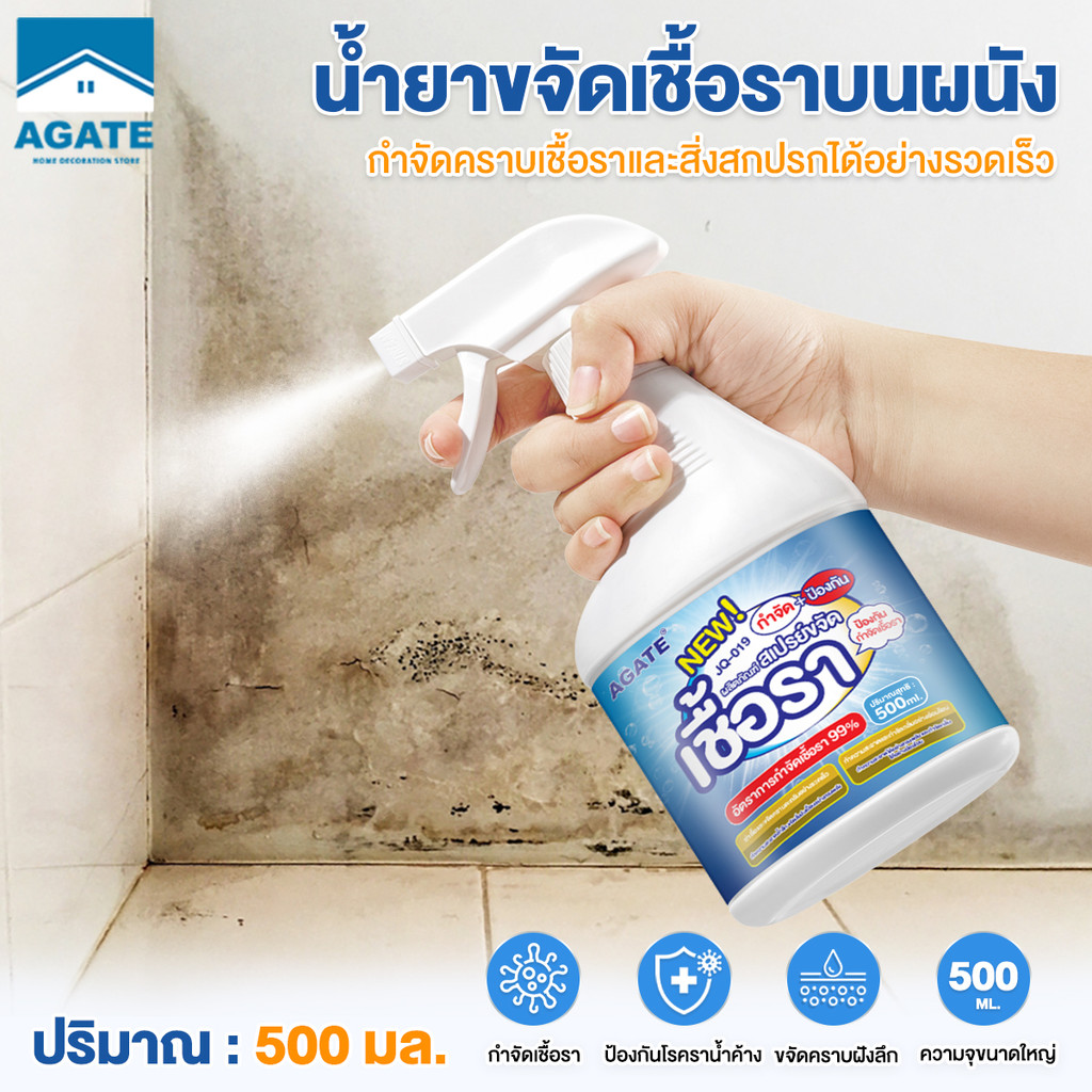 【Agate ของแท้】น้ำยาเช็ดเชื้อรา 500ML สเปรย์กำจัดเชื้อรากำแพง สเปรย์ฆ่าเชื้อรา บอกลากับผนังและเฟอร์นิเจอร์ที่เป็นเชื้อรา
