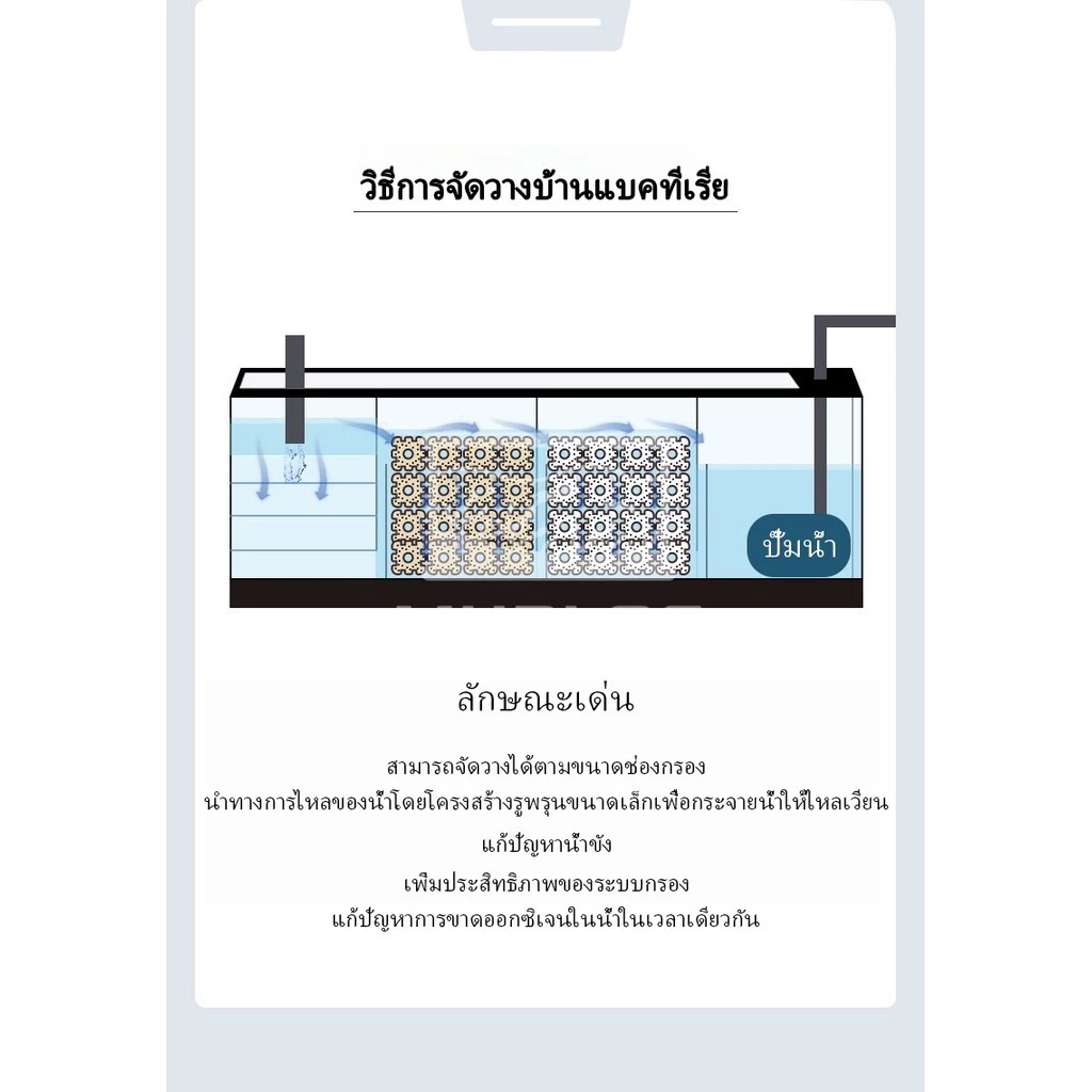 C-BAR ซีบาร์ วัสดุกรองตู้ปลา/บ่อปลา น้ำใส ลดของเสีย pH เป็นกลาง แบคทีเรียเติบโตดี (พร้อมส่ง) thumbnail 10