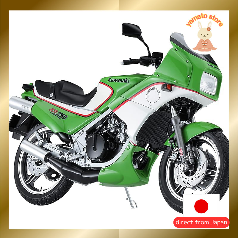 Hasegawa 1/12 Bike Series Kawasaki KR250 (KR250A) Plastic Model BK12