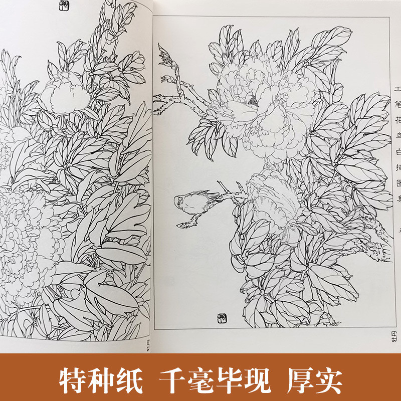ภาพวาดดอกโบตั๋นซีรีส์งานศิลปะของแท้ - รูปที่ 2