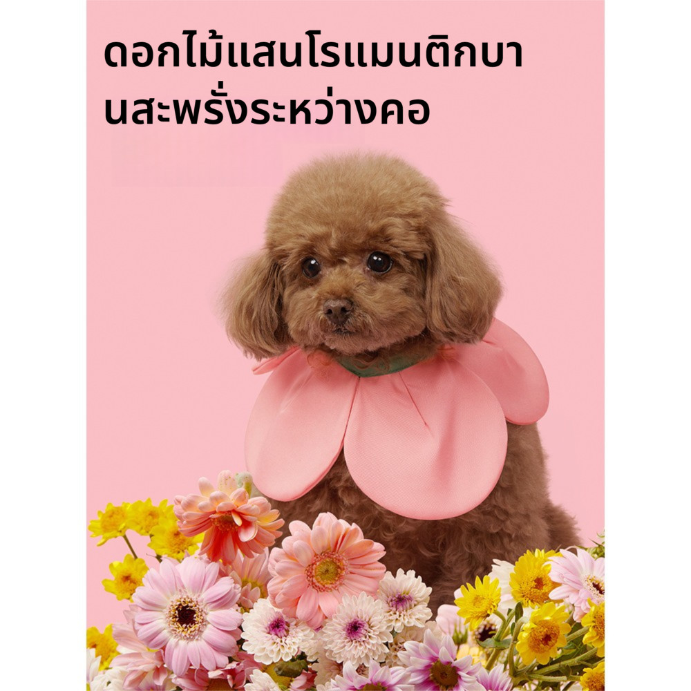 VETRESKA  คอลล่ากันเลีย ผ้ากันน้ำลายสุนัข แมว Flora Pet Bib【QINGXI_PET】