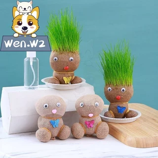 wen.W2 ตุ๊กตาหัวหญ้า หญ้าแมว ตุ๊กตาผมเป็นต้นไม้