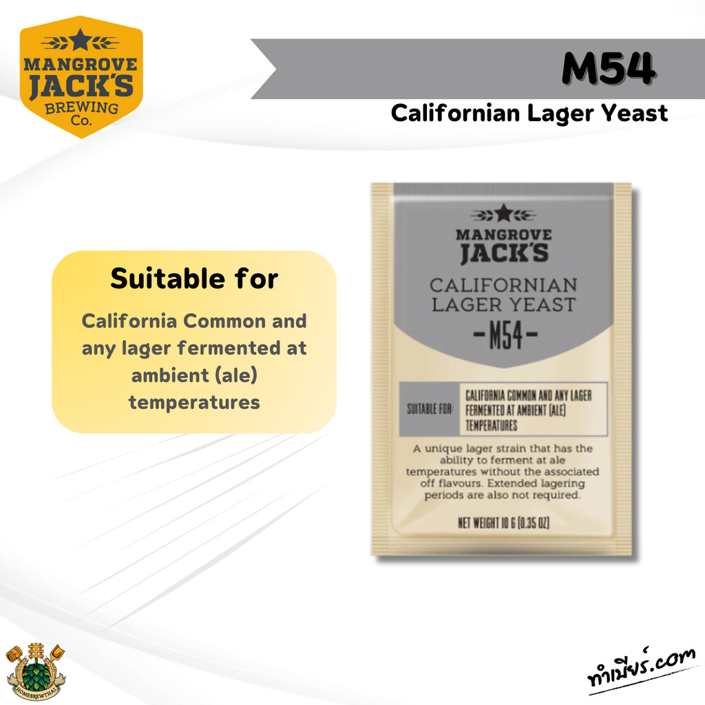 Mangrove Jack's M54 Californian Lager Yeast (ยีสต์) 10g