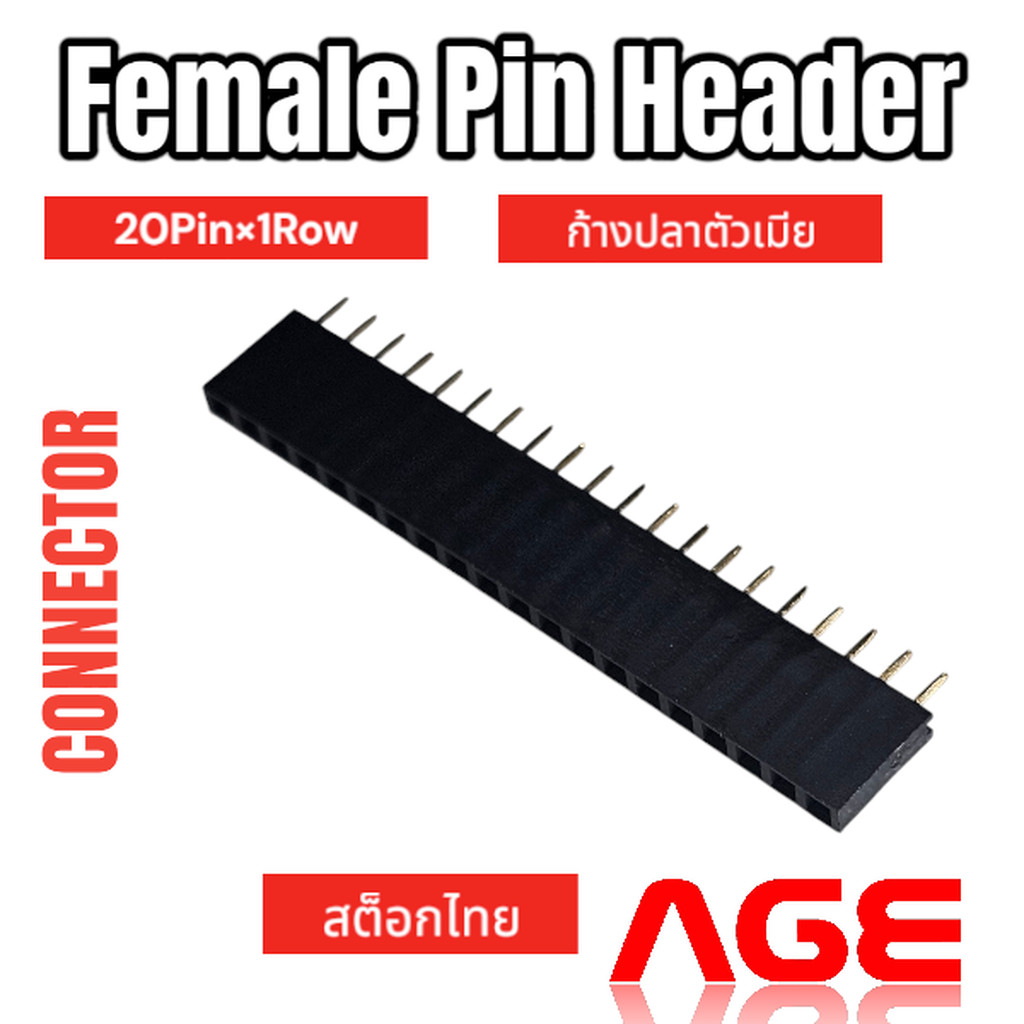 Female Pin Header Connector 20 Pin (20PinX1Row), Pitch 2.54mm Female ก้างปลาตัวเมีย