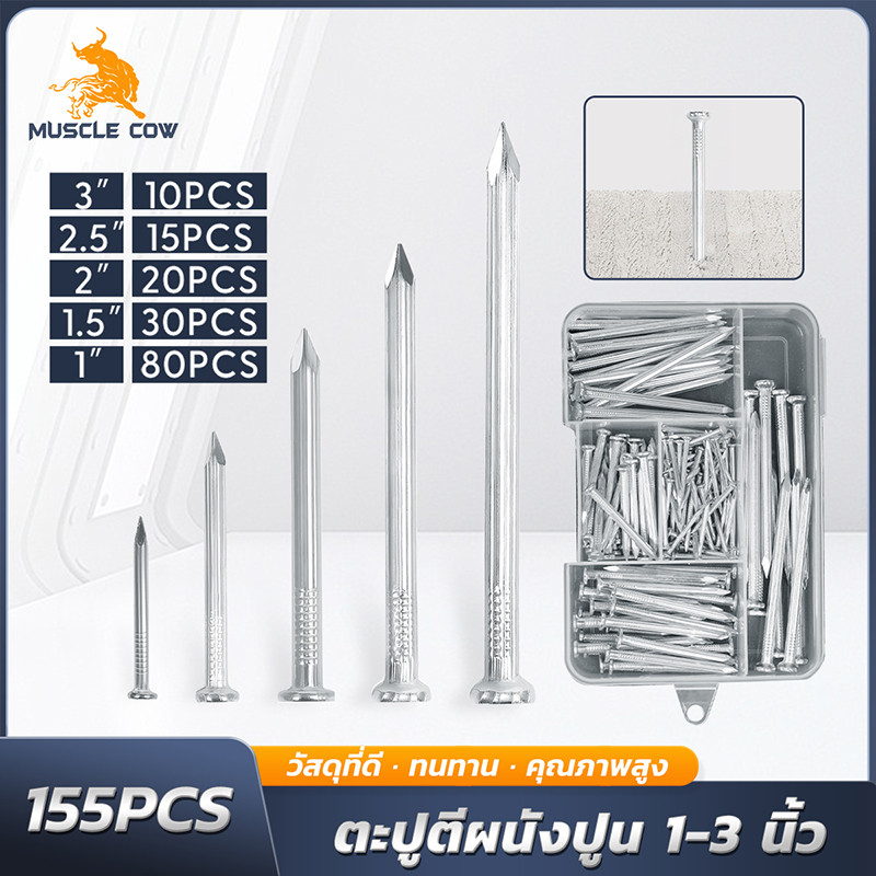 MUSCLE COW ชุดตะปูและสกรู ขนาด 1-3 นิ้ว 175 ชิ้น สำหรับยึดผนังและใช้งานทั่วไป