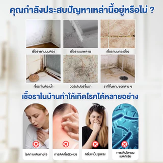 【Agate ของแท้】น้ำยาฆ่าเชื้อราแบบสเปรย์ 500ML สเปรย์กำจัดคราบเชื้อรา แม่พิมพ์สเปรย์กําจัดเชื้อรา น้ํายาขจัดคราบฝังแน่น