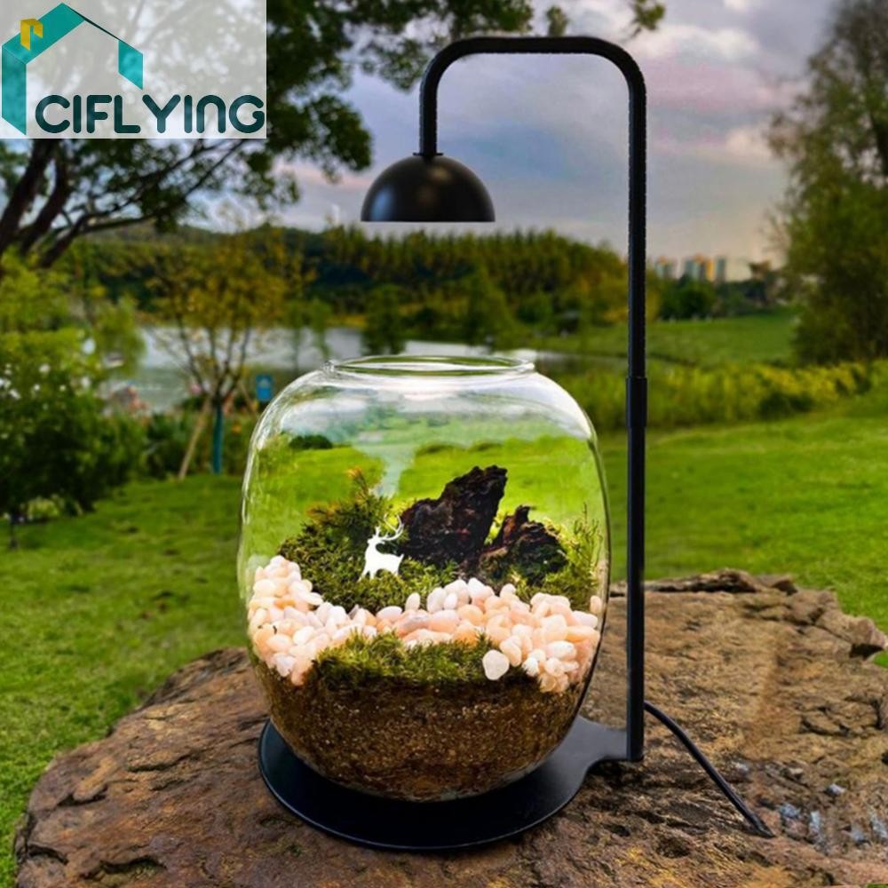 Moss Plant Light พร้อม Timmer ไฟปรับความสูงสําหรับเดสก์ท็อป Plant Terrarium [Ciflying.th]