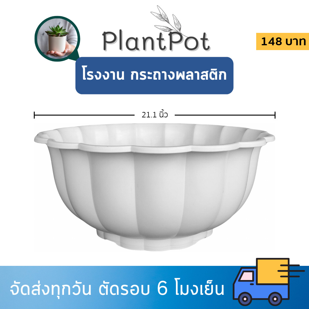 กระถาง อ่างเลี้ยงปลา อ่างบัว อ่างบัวจีบ 20 21 นิ้ว สีขาว สีโอ๊ค Bundle 3 ใบ ชิ้น อัน