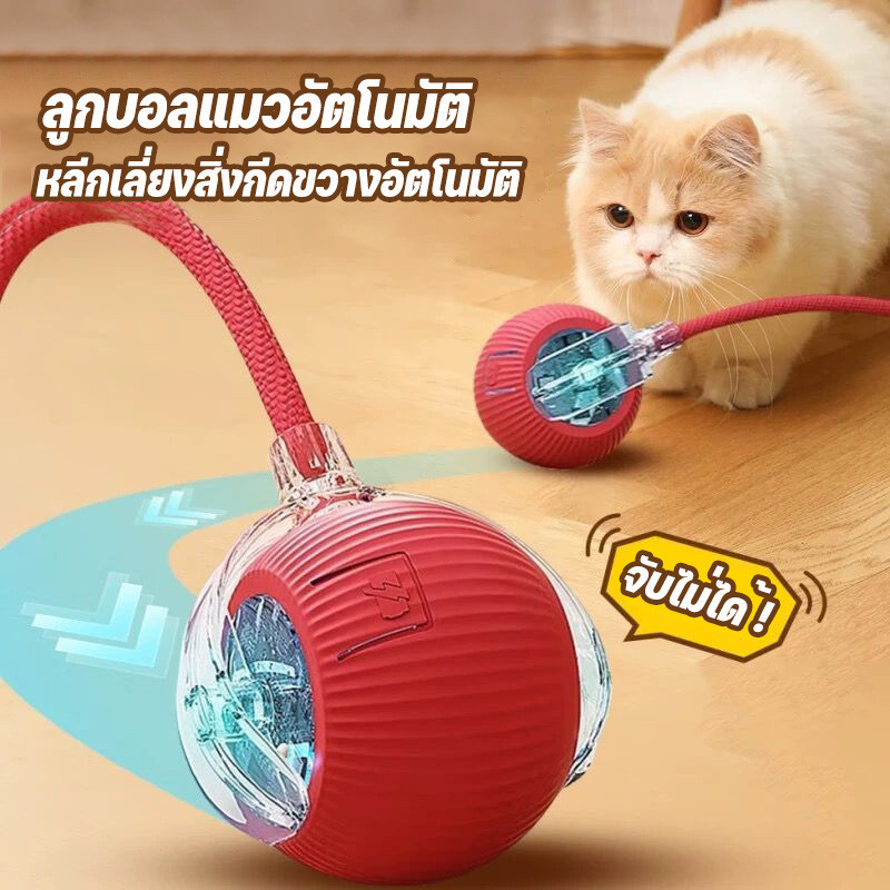 ลูกบอลแมว ของเล่นแมว ลูกบอลแมวอัติโนมัติ สมาร์ทไฟฟ้า หมุนได้ ของเล่นแมวโต้ตอบ ราคา ถูกที่สุด ดีลบีเคเค