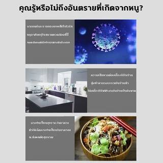 🐭รุ่นหนาขึ้นอัพเกรด🐭 กาวดักหนู กับดักหนู กําจัดหนู อุปกรณ์กำจัดหนูมืออาชีพยี่ห้อเก่ากว่า 30 ปี กกาวนำเข้าจากเยอรมัน