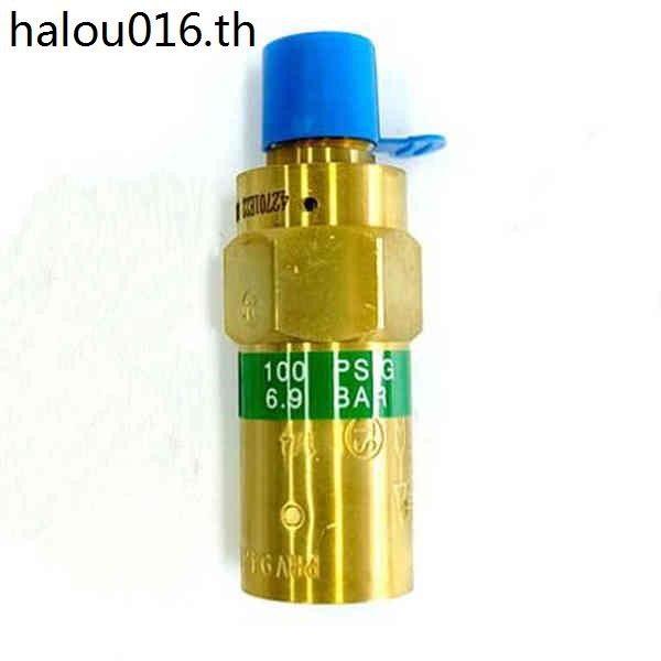 R REGO วาล์วความปลอดภัย PRV9432TP/PRV9434TP ของเหลวออกซิเจนไนโตรเจนอุณหภูมิต่ํา Duva ขวด LNG วาล์วบร