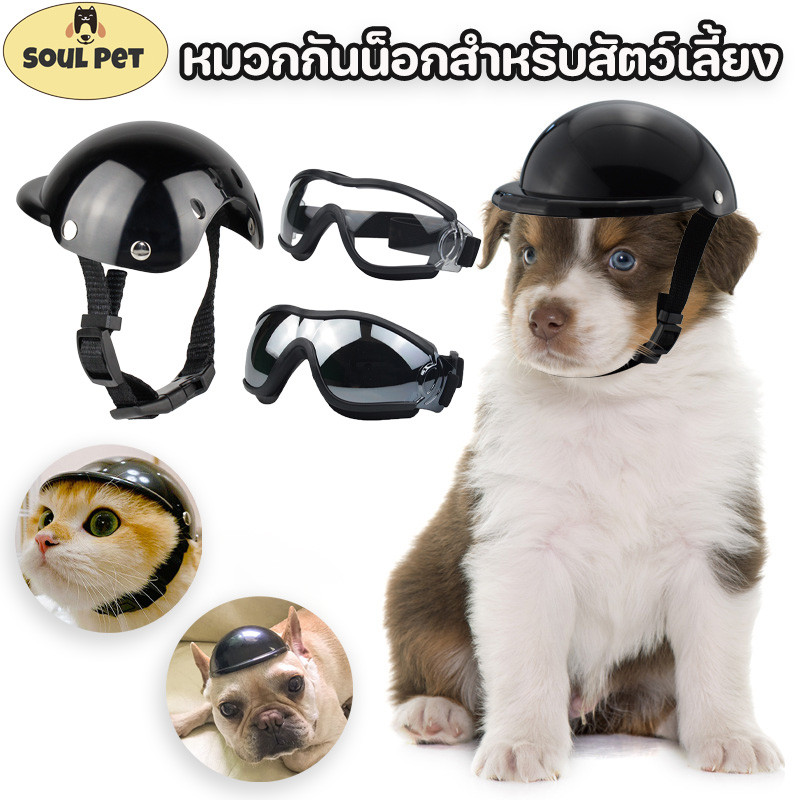 🐱🐶หมวกกันน็อคสุนัข🧢 🥽 แมว หมา สัตว์เลี้ยง ABS หมวกกันน็อค อุปกรณ์หมวก