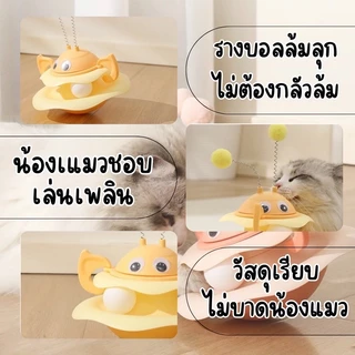 HM-ของเล่นสัตว์เลี้ยง รางบอลแมว ผึ้ง ของเล่นแมว บอลแมว รางบอล