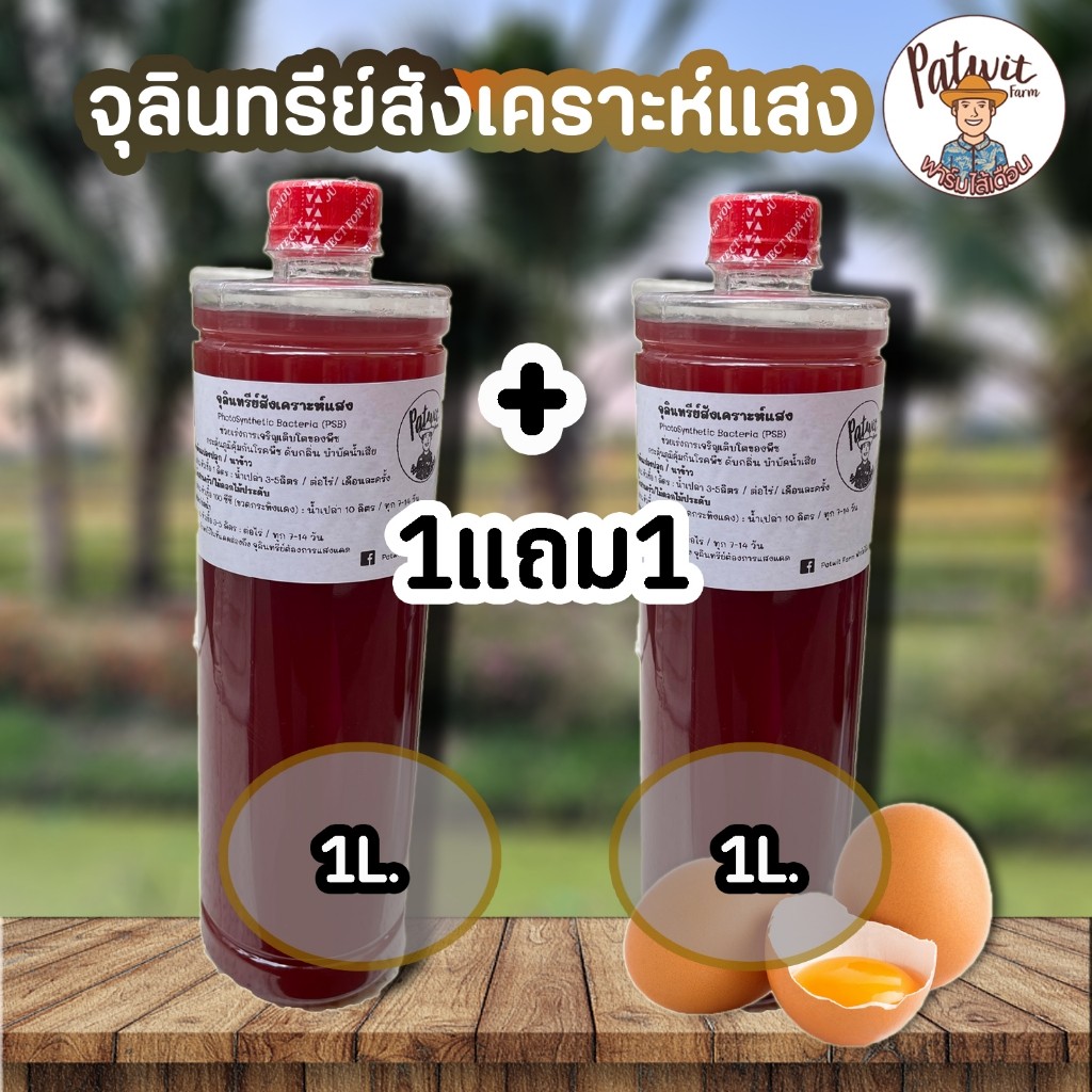 (1แถม1)(ใช้โค้ดส่งฟรีทักแชท)จุลินทรีย์สังเคราะห์แสง PSB ขนาด1ลิตร 1แถม1 สูตรเข้มข้นสีแดงสด ใช้ขยายเชื้อต่อได้ไม่รู้จบ