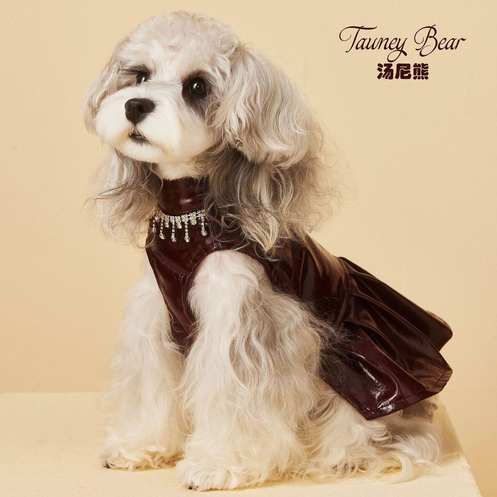 TawneyBear เสื้อผ้าสัตว์เลี้ยง สุนัข แมว เสื้อผ้า กระโปรงหนังแขนกุด TB-FS-FW