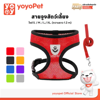 yoyopet : สายจูงสัตว์เลี้ยง หมา แมว สายรัดสัตว์เลี้ยง ชุดเสื้อตาข่ายพร้อมสายจูง มีหลายขนาดให้เลือก