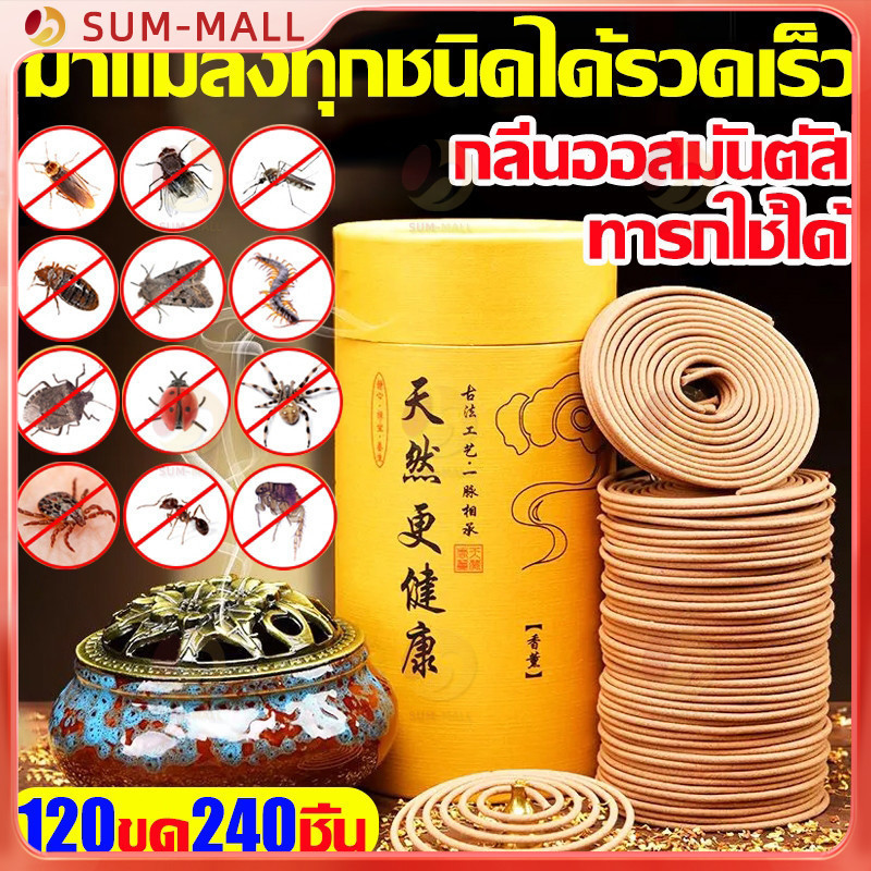 ธูปสามารถฆ่ายุงได้ ถ้าได้กลิ่นยุงจะตาย แผ่นไล่ยุงลาย Mugwort ไม้กฤษณาธรรมชาติ