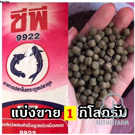 อาหารปลาดุก เม็ดใหญ่ 9922ซีพี((1กิโล))