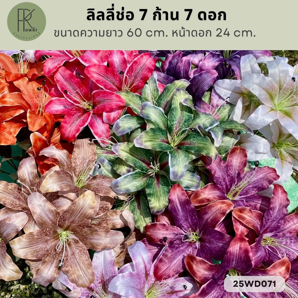 ลิลลี่ช่อ 7 ก้าน 7 ดอก ขนาดความยาว 60 cm. หน้าดอก 24 cm.