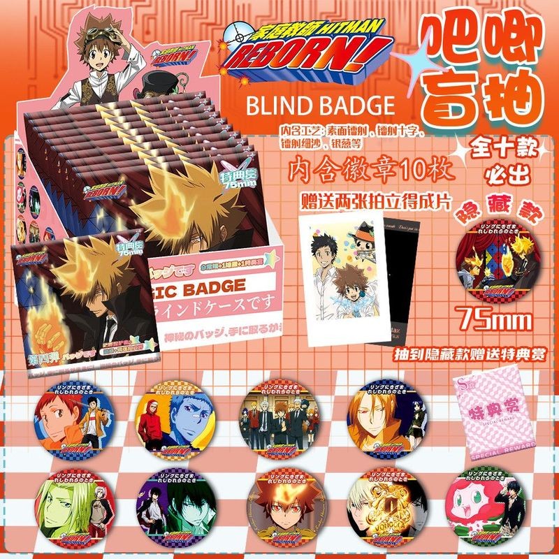 เคทเคียว ฮิตแมน เกิดใหม่! Katekyo Hitman Reborn!  ป้ายกล่องตาบอด | หมุดปุ่มกลิตเตอร์ขนาด 75 มม | Tsunayoshi Sawada, Hayato Gokudera กล่องของขวัญเต็ม 10 ชิ้น