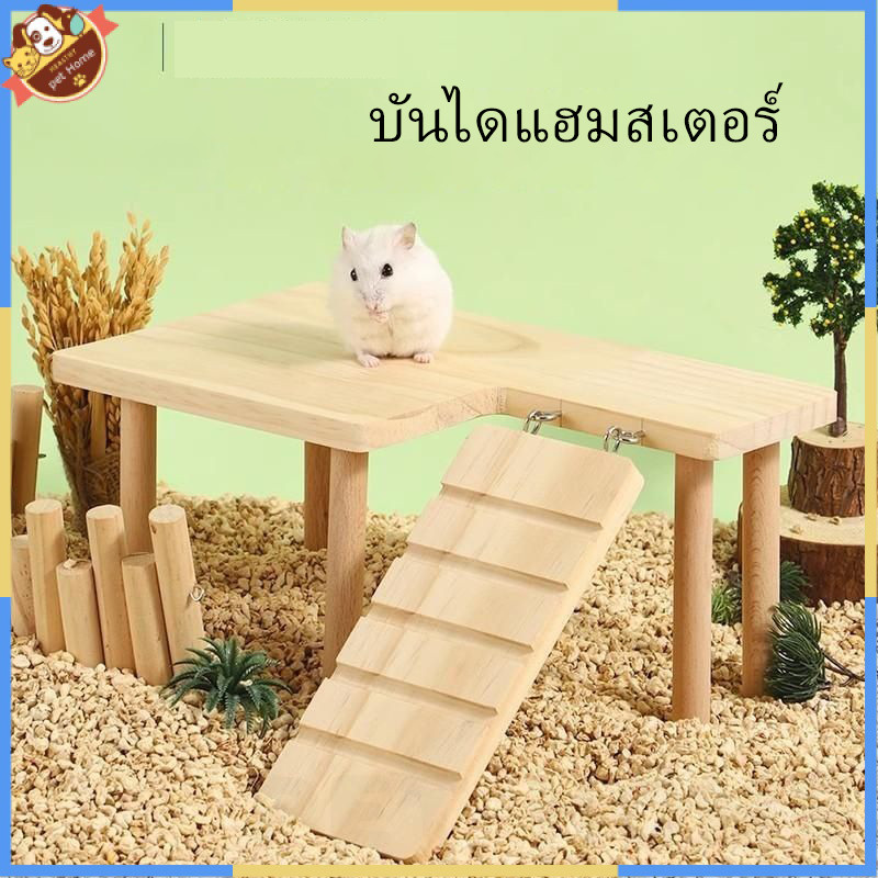 แพลตฟอร์มไม้เนื้อแข็ง สองชั้น ขนาดเล็ก สีทอง สําหรับหนูแฮมสเตอร์ ไก่