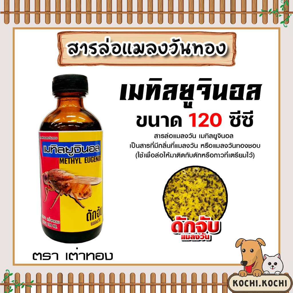 สเปร์ยสารล่อแมลงวันทอง / เมทิลยูจินอล / อุปกรณ์ดักแมลง ล่อแมลงวันทอง น้ำหอมล่อแมลงวันทอง ตัวล่อแมลงวันทอง