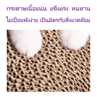 YTL ที่ลับเล็บ อ่างลับเล็บแมว ทรงวงรี ฟรีแคทนิป ที่ลับเล็บแมว คุณภาพดี ที่ลับเล็บแม 2in1 แถมฟรีกัญชาแมว