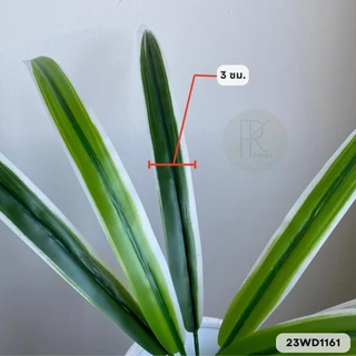 ใบเตยต้น 12 ใบ สูง 50 cm. (ใบเตยอย่างดี 1ต้นมี 12 ใบดัดได้) ใช้ตกแต่ง ใบไม้ปลอม ใส่แจกัน สวย สีสด ทน