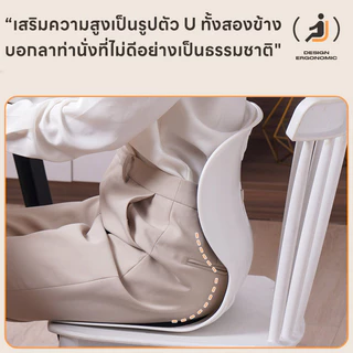 เก้าอี้รองปรับท่านั่ง เบาะสุขภาพ เบาะเก้าอี้ เบาะรองเอว นั่งนานไม่เมื่อย เก้าอี้รองปรับท่านั่ง หมอนรองหลัง
