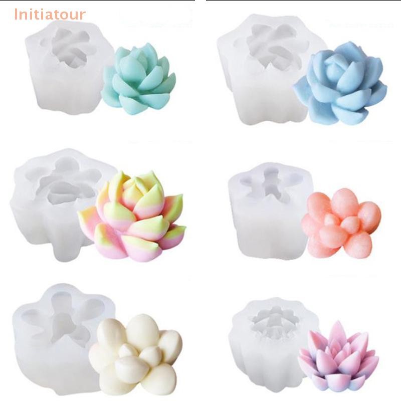 [Initiatour] Diy พืชกระบองเพชรซิลิโคนอีพ็อกซี่เรซินแม่พิมพ์งานฝีมือทําด้วยมือ Mould