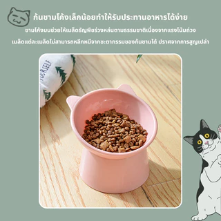 🐾ชามอาหารสัตว์เลี้ยง ชามกันมด แมว ชามอาหารแมว ชามอาหารหมา ทรงเอียง 15 องศา ป้องกันกระดูกสันหลังคอ
