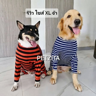 🇹🇭พร้อมส่ง🇹🇭 🐕 💥(ลิ้งค์ที่3) BIG SIZE ชุดสี่ขา ชุดกันขนร่วง สุนัขพันธุ์ใหญ่ หมาใหญ่ เสื้อหมา โกลเด้น ลาบาดอร์ ไซบีเรี...