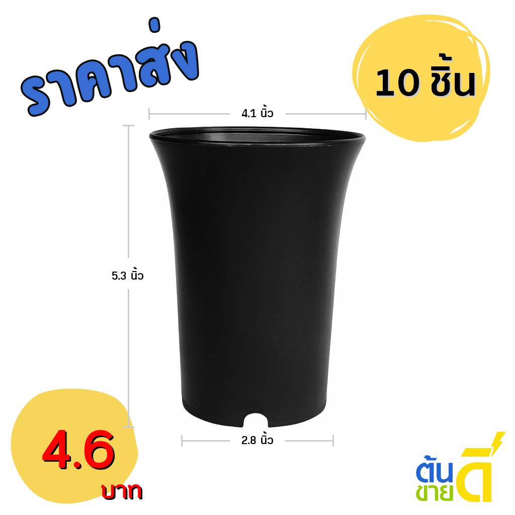 กระถางปากแตร กระถาง กระถางไม้กราฟ ทรงสูง 4 นิ้ว 10 ใบ สีดำ ยกมัด