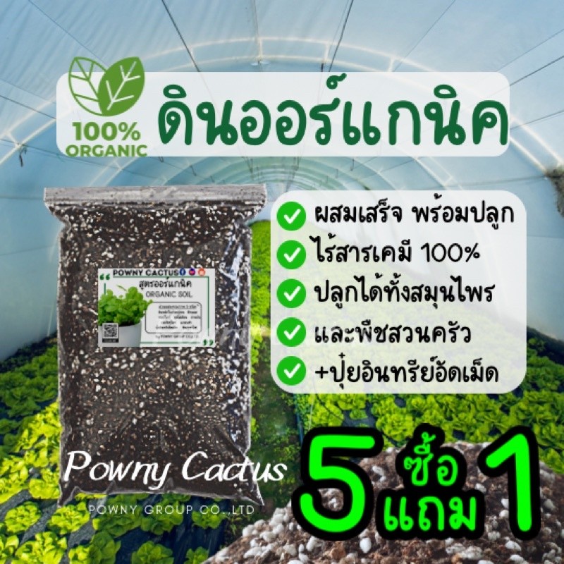 ดินออร์แกนิค ดินพร้อมปลูกต้นไม้คุณภาพสูง Organic 100% ดินปลูก ต้นไม้ premium soil วัสดุปลูก