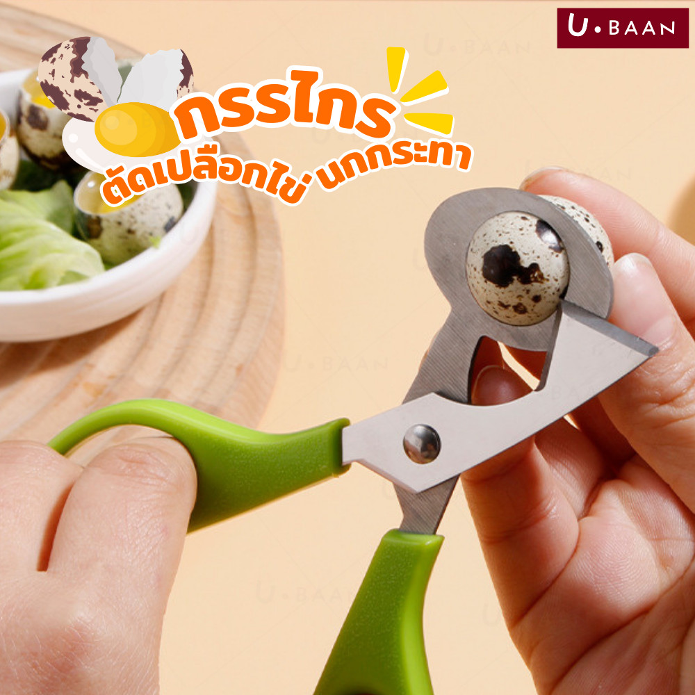 UBAAN 👍พร้อมส่ง👍 กรรไกรตัดเปลือกไข่นกกระทา กรรไกรตัดไข่ สแตนเลส ด้ามจับถนัดมือ ตัดไข่ได้ง่าย สะดวกในการใช้งาน