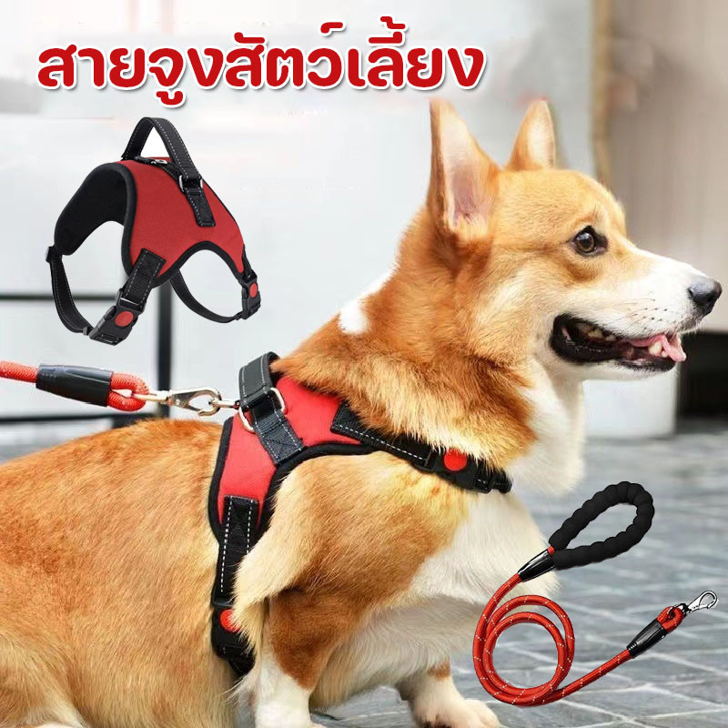 สายจูงสัตว์เลี้ยง สายจูงสุนัขใหญ่ มีแถบสะท้อนแสง วัสดุไนล่อนทนทาน ระบบป้องกันการดึงฉุกเฉิน