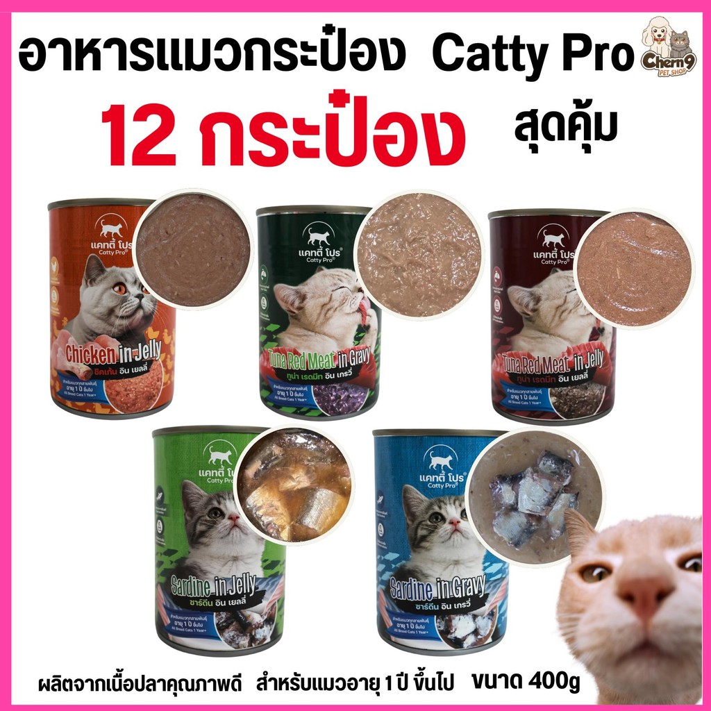{{ 12 กระป๋อง }} ใหม่!! อาหารแมว Catty Pro แคทตี้โปร อายุ 1ปีขึ้นไป ขนาด400g (อาจมีความเสี่ยงกระบุบจากขนส่ง)