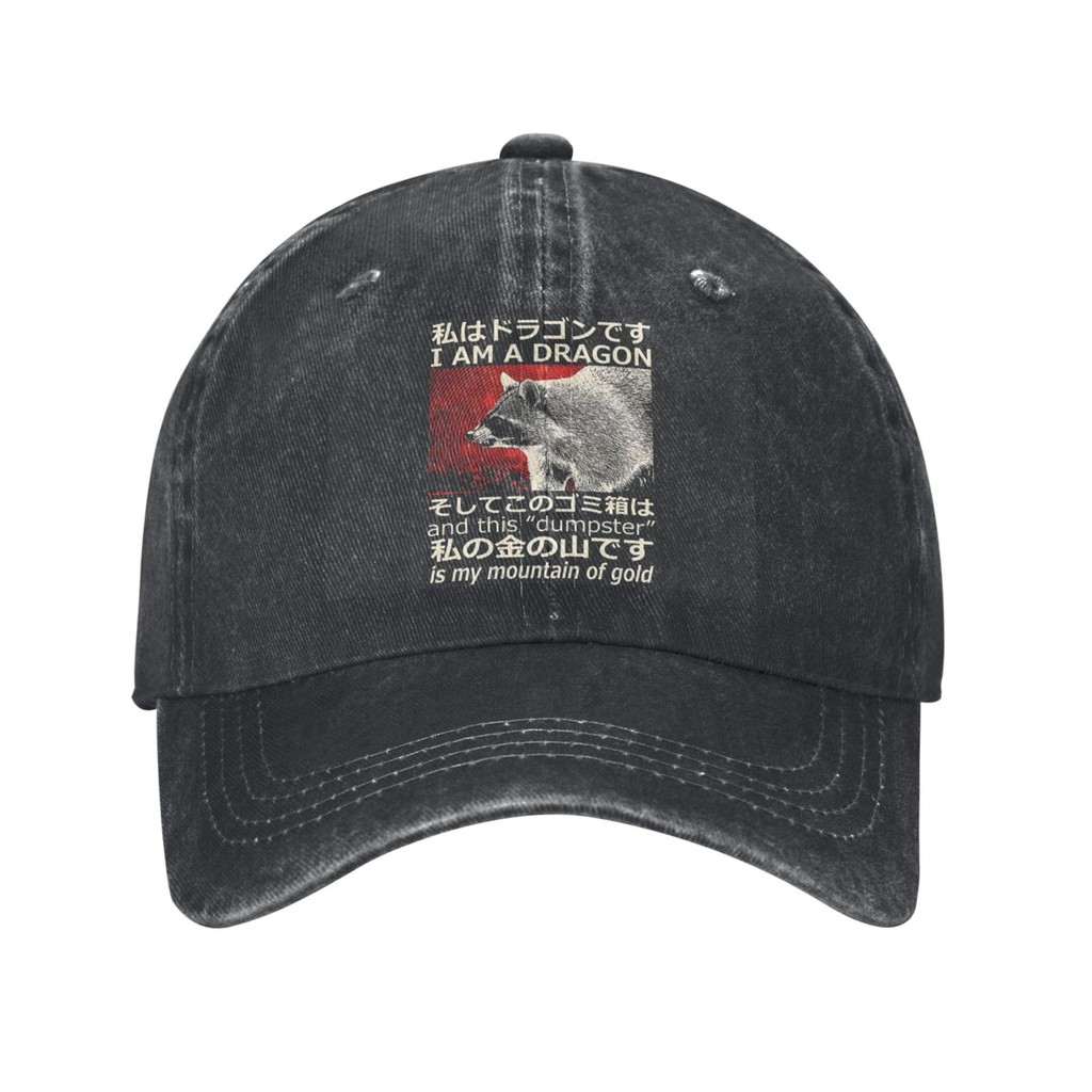 Fashion I Am A Dragon And This Dumpster Is My Mountain Of Gold Baseball Cap