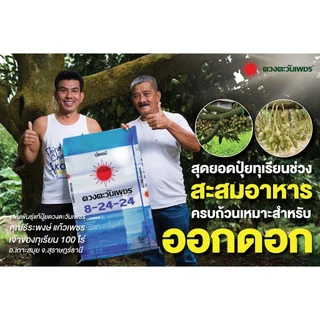 (ยกกระสอบ25kg) 8-24-24 ปุ๋ยคอมปาวด์ซัลเฟต #ดวงตะวันเพชร หว่านทางดิน ช่วยสะสมอาหาร ช่วยใก่ออกดอก